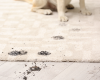carpet cleaning in brooklyn, carpet cleaning in new york, carpet cleaning brooklyn, carpet cleaners in brooklyn, carpet cleaners in new york, commercial carpet cleaning, commercial carpet cleaning in brooklyn, brooklyn rug cleaners, rug cleaning services in brooklyn, same day carpet cleaning, same day rug cleaning